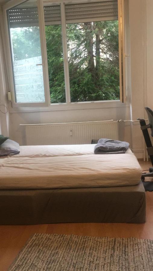 Appartement Dream Of Imaginations In The Heart Of The City